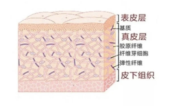 Slip Resistant Collection